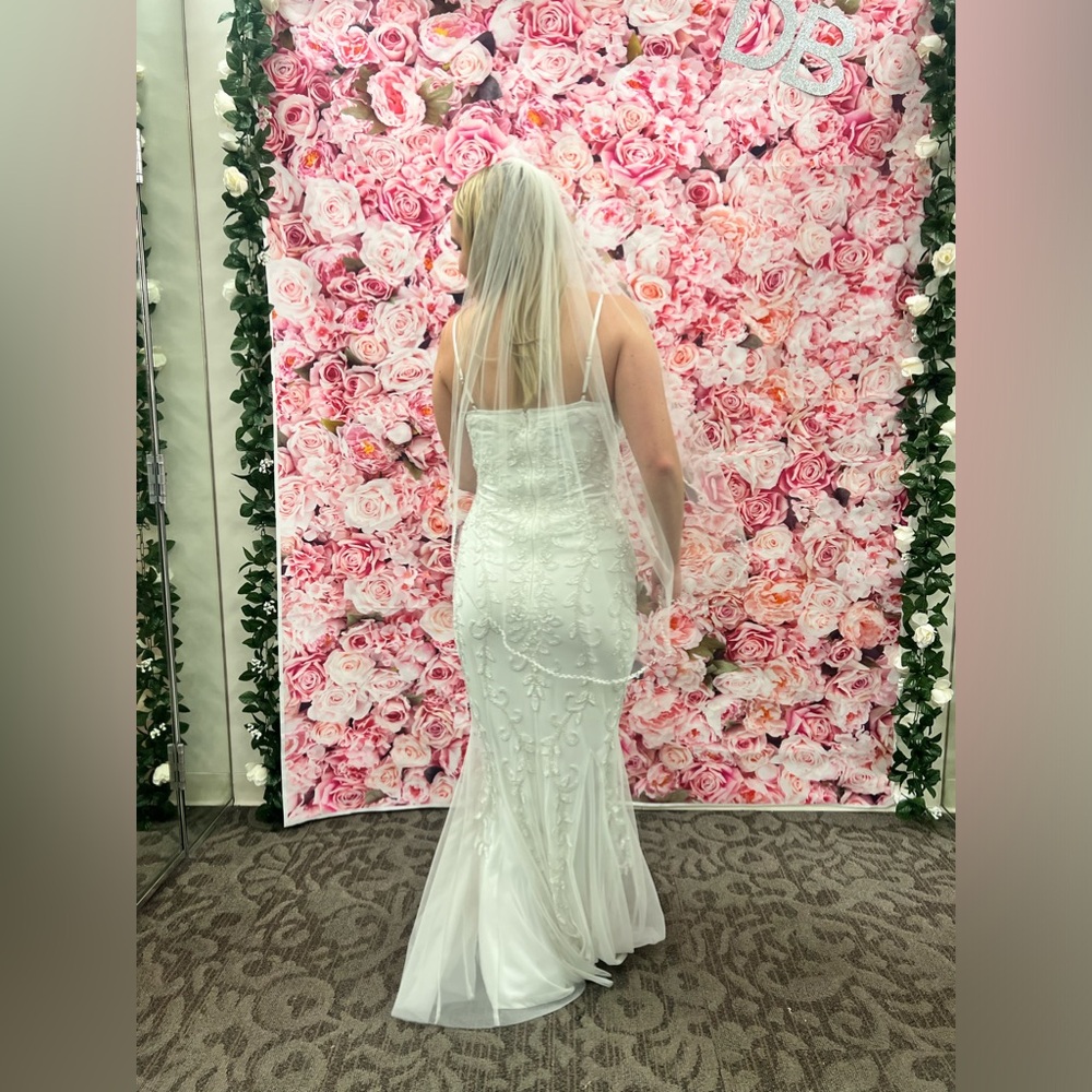 GORGEOUS & brand new wedding dress from David’s Bridal - Picture 4 of 9